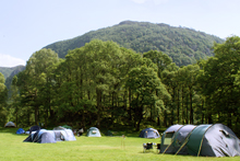 Our Woodland Field campsite has a stunning back-drop of Borrowdale